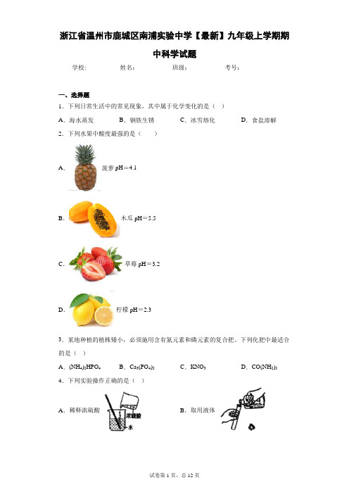 浙江省温州市鹿城区南浦实验中学2020-2021学年九年级上学期期中科学试题