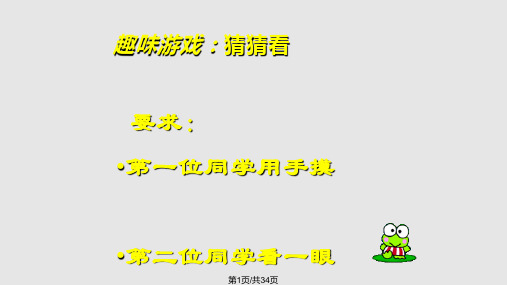 眼与视觉教学PPT课件