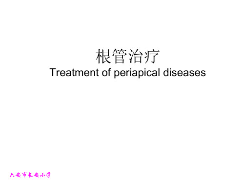 根管治疗的步骤、方法、器械