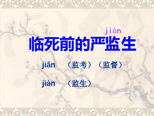 临死前的严监生
