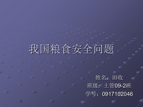 我国粮食安全问题-PPT课件