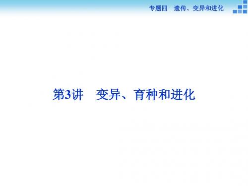 2015版高考第二轮总复习生物(渝闽专用)专题四 遗传、变异和进化第3讲 课件