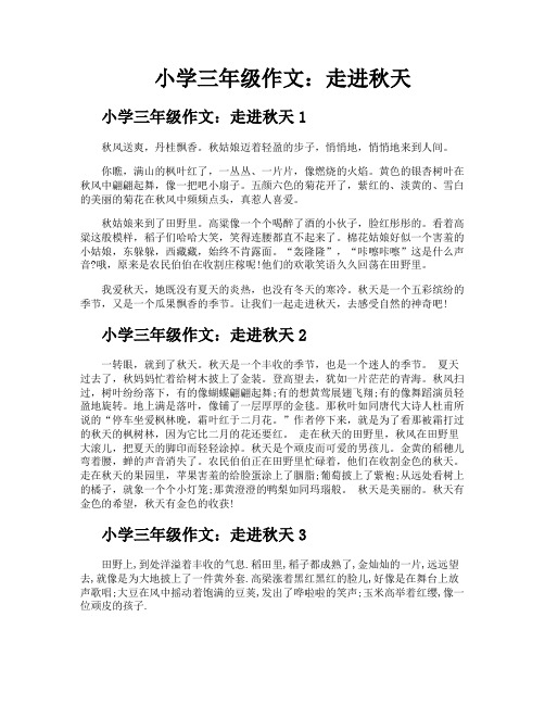 小学三年级作文走进秋天