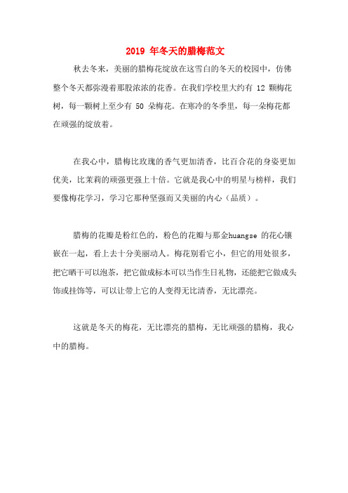 2019年冬天的腊梅范文