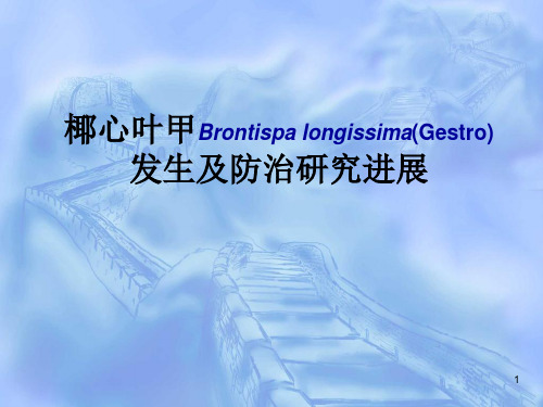 《椰心叶甲专题报告》参考PPT
