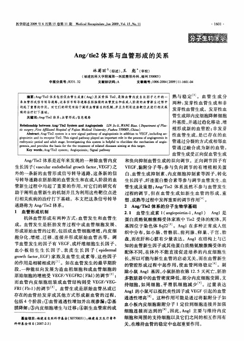 Ang_tie2体系与血管形成的关系