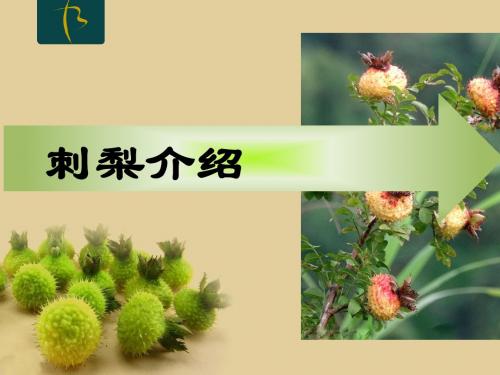 培训课之 刺梨介绍(2)