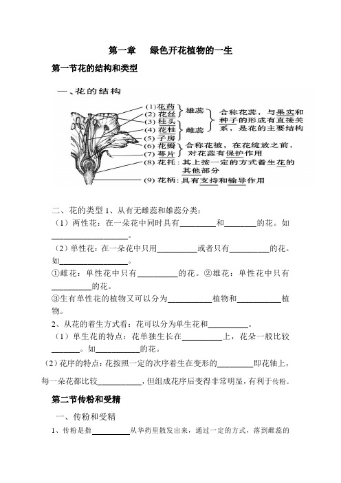 第一章   绿色开花植物的一生复习学案