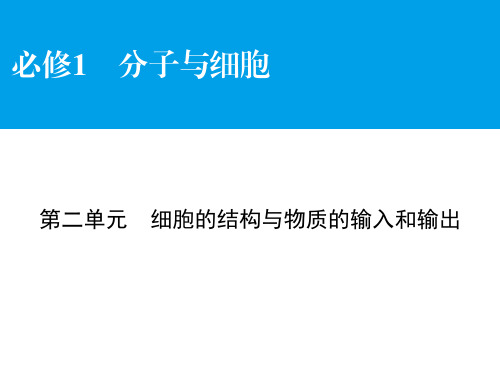 高考生物大一轮复习 第2单元 细胞的结构与物质的输入