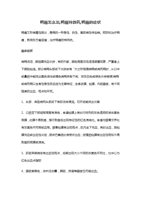 鸭瘟怎么治,鸭瘟特效药,鸭瘟的症状