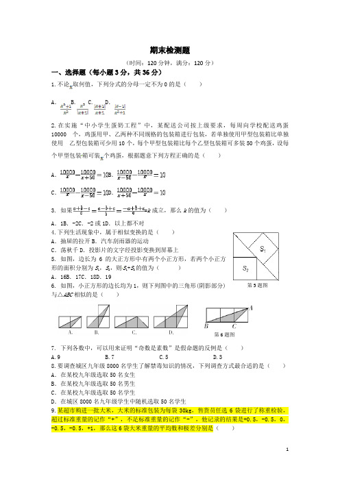 鲁教版(五四学制)八年级数学上册期末复习检测题(含答案详解)