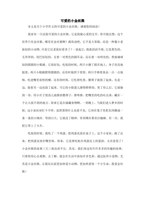 可爱的小金丝熊_小学作文_1
