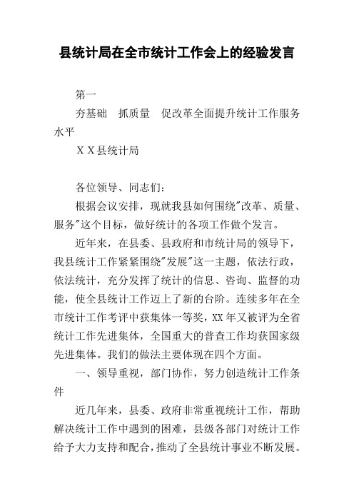 县统计局在全市统计工作会上的经验发言