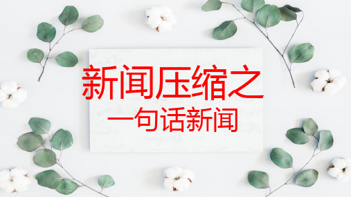 高考复习之一句话新闻PPT精品课件
