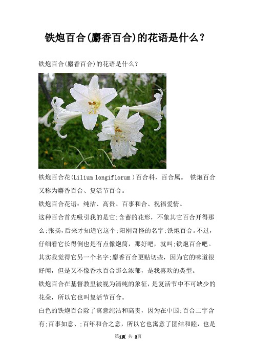 铁炮百合(麝香百合)的花语是什么？