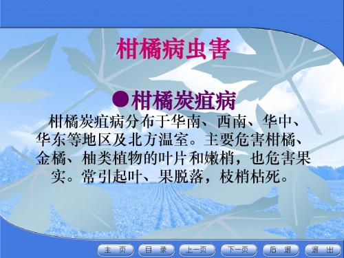 柑橘病虫害