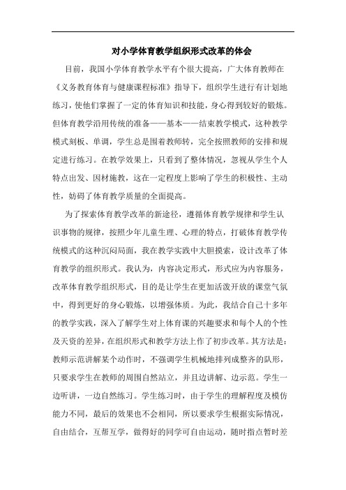 对小学体育教学组织形式改革的体会