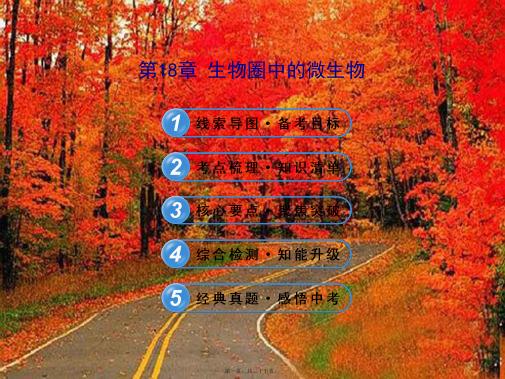 中考生物 第18章 生物圈中的微生物配套课件