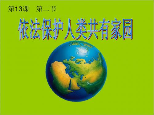 13.2依法保护我们的家园