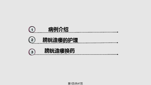 膀胱造瘘的护理查房PPT课件