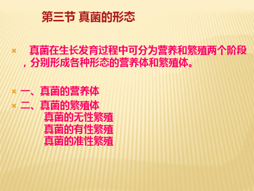 菌物学第一章第3节
