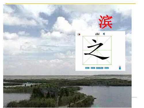 小学语文二年级上册《美丽的丹顶鹤》(苏教版国标本)(1)精品PPT课件