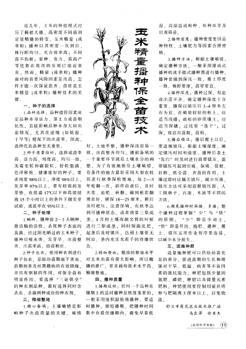 玉米精量播种保全苗技术