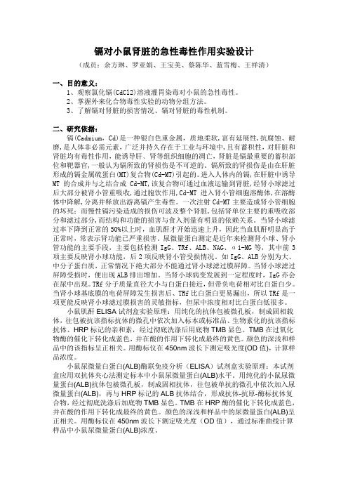 第四组实验设计
