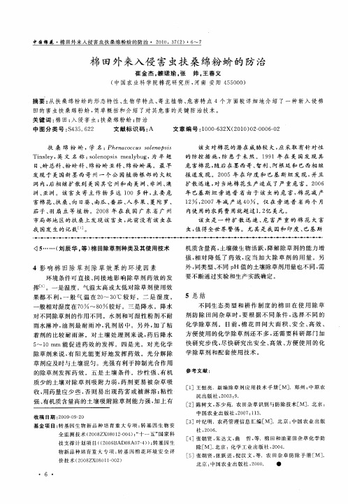 棉田外来入侵害虫扶桑绵粉蚧的防治