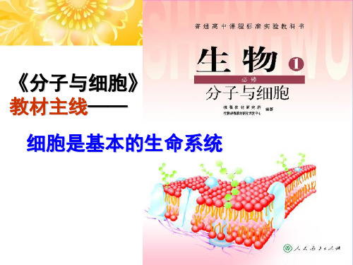 复习第一章走近细胞 2PPT课件