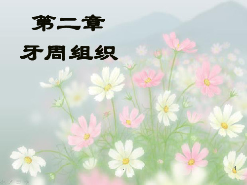 牙周组织ppt课件