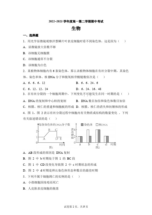 广东省深圳市2022-2023学年高一下学期期中生物试题