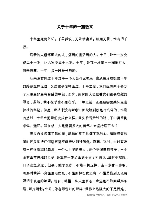 关于十年的一篇散文