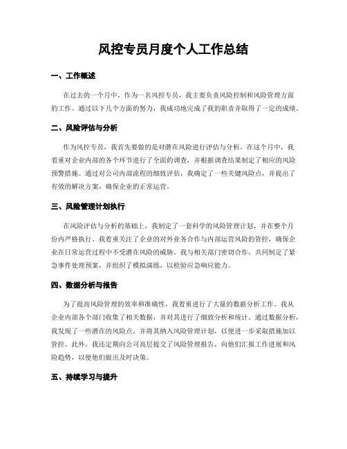 风控专员月度个人工作总结