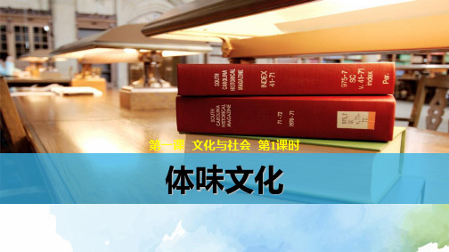 高中政治必修3精品课件13：1.1 体味文化 - 副本