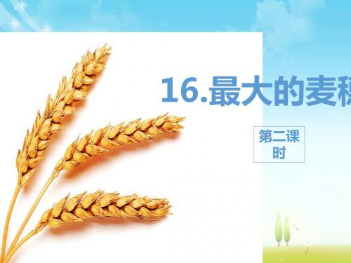最新苏教版语文小学六年级下册16.最大的麦穗 第2课时优质课课件.pptx