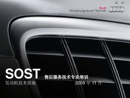 奥迪2009年服务技术部SOST期培训课件 TPI和故障解决方案：机油油位指示器