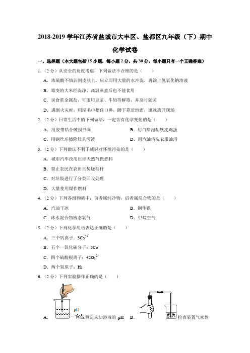 【水印已去除】2018-2019学年江苏省盐城市大丰区、盐都区九年级(下)期中化学试卷