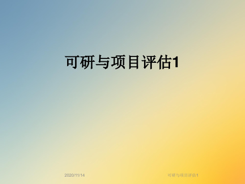 可研与项目评估1