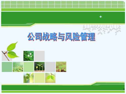 第一章_战略与战略管理