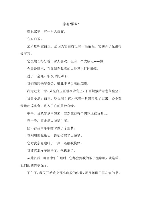 家有懒猫-作文