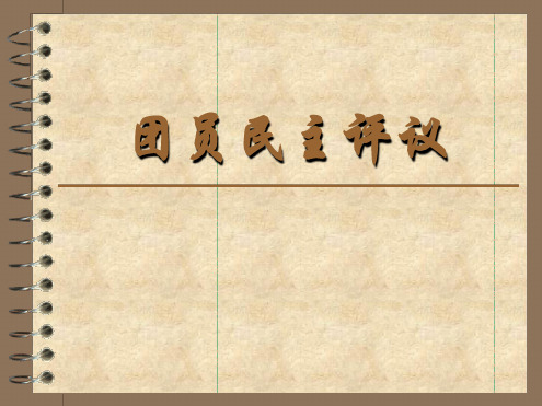 团员民主评议