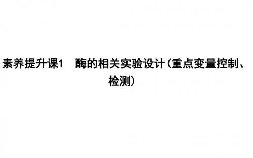 2020年高考生物人教版(山东专用)总复习： 酶的相关实验设计(重点变量控制、检测)