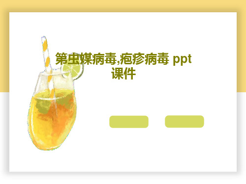 第虫媒病毒,疱疹病毒 ppt课件共41页文档