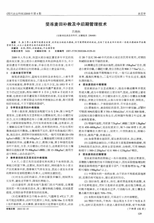 受冻麦田补救及中后期管理技术