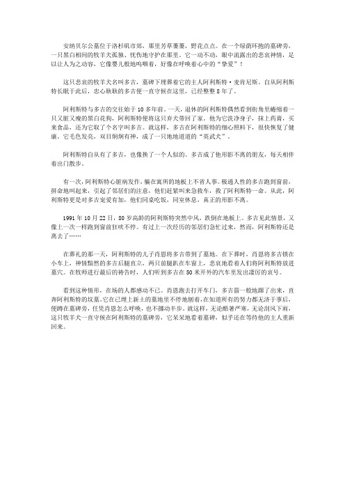(青少年心灵成长直通车)启迪孩子智慧的动物故事_含泪的风景