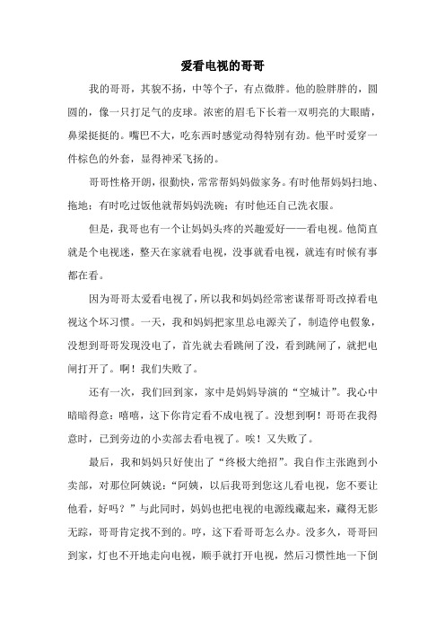 爱看电视的哥哥