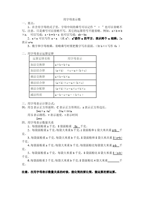 用字母表示数