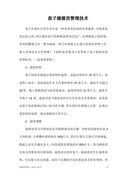 茄子嫁接苗管理技术