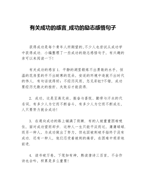 有关成功的感言_成功的励志感悟句子